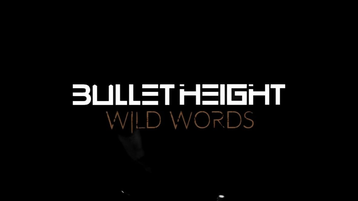 Bulletheight portfolio