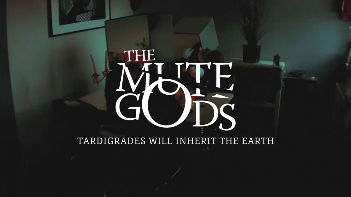 Tardigrades portf