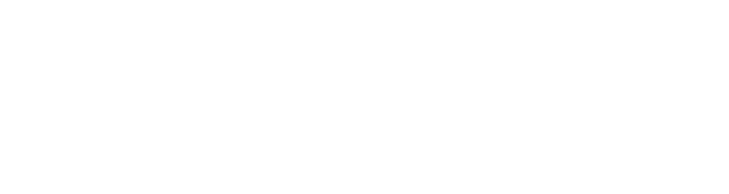 Airbourne logo white