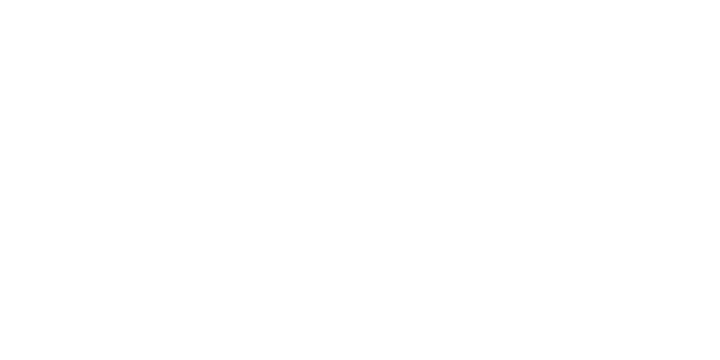 Promark Logo