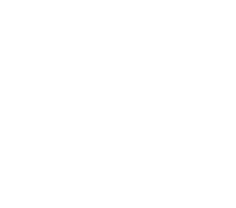 Dt Majesty 2024 Symbol White
