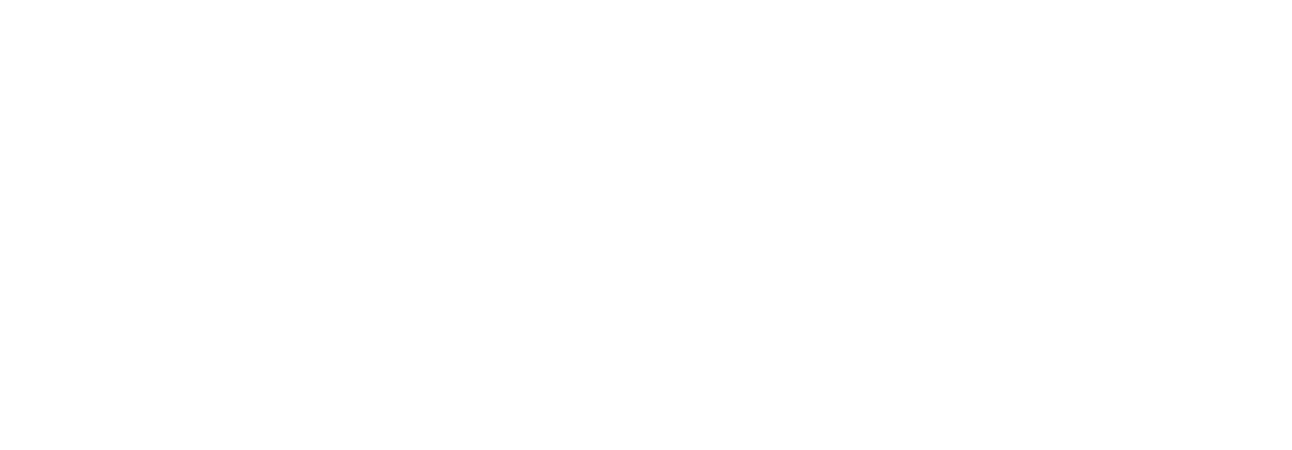 Einar Solberg LOGO white