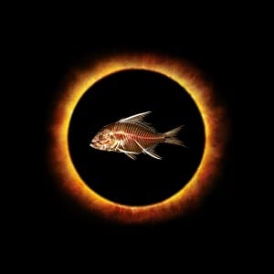Eclipse Logo