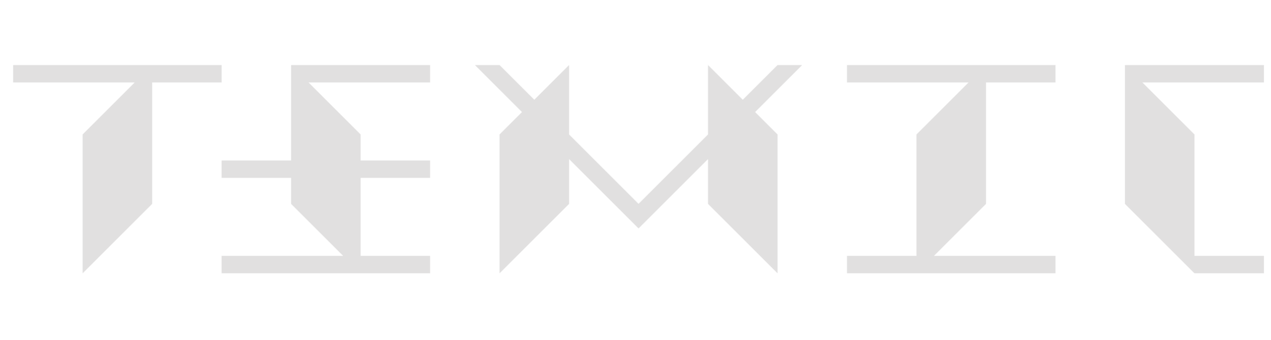 Temic Logo 2026 white