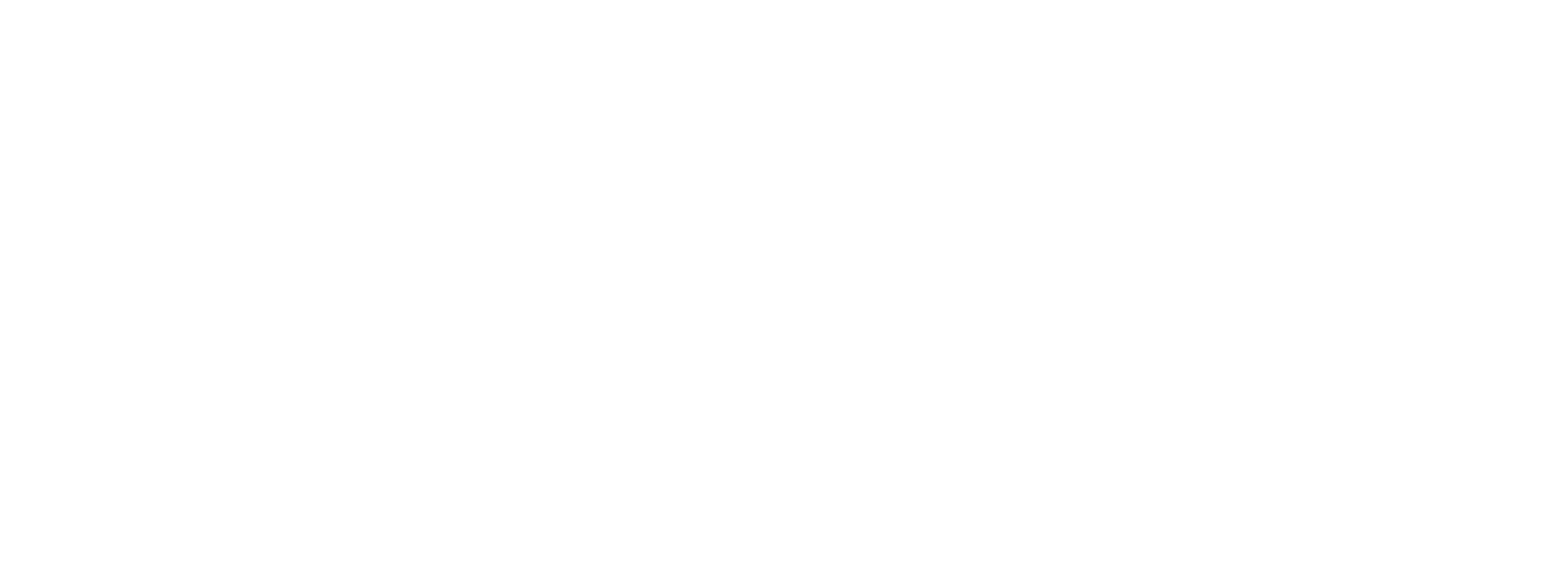 Htwlogo White