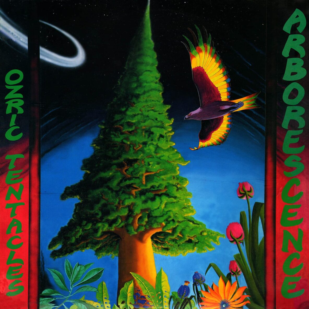 Ozrictentacles arborescence br9v