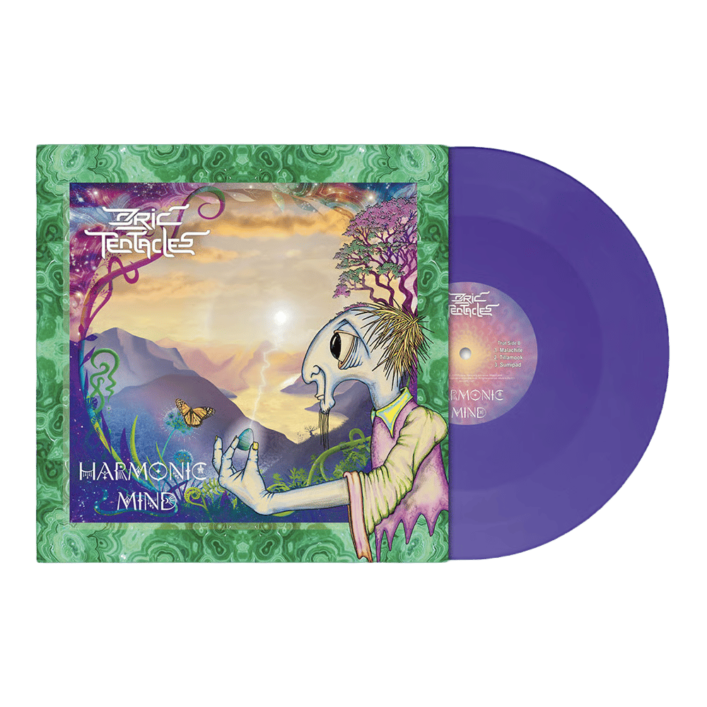 Hm vinyl purple