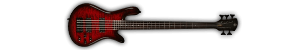spector-bass1