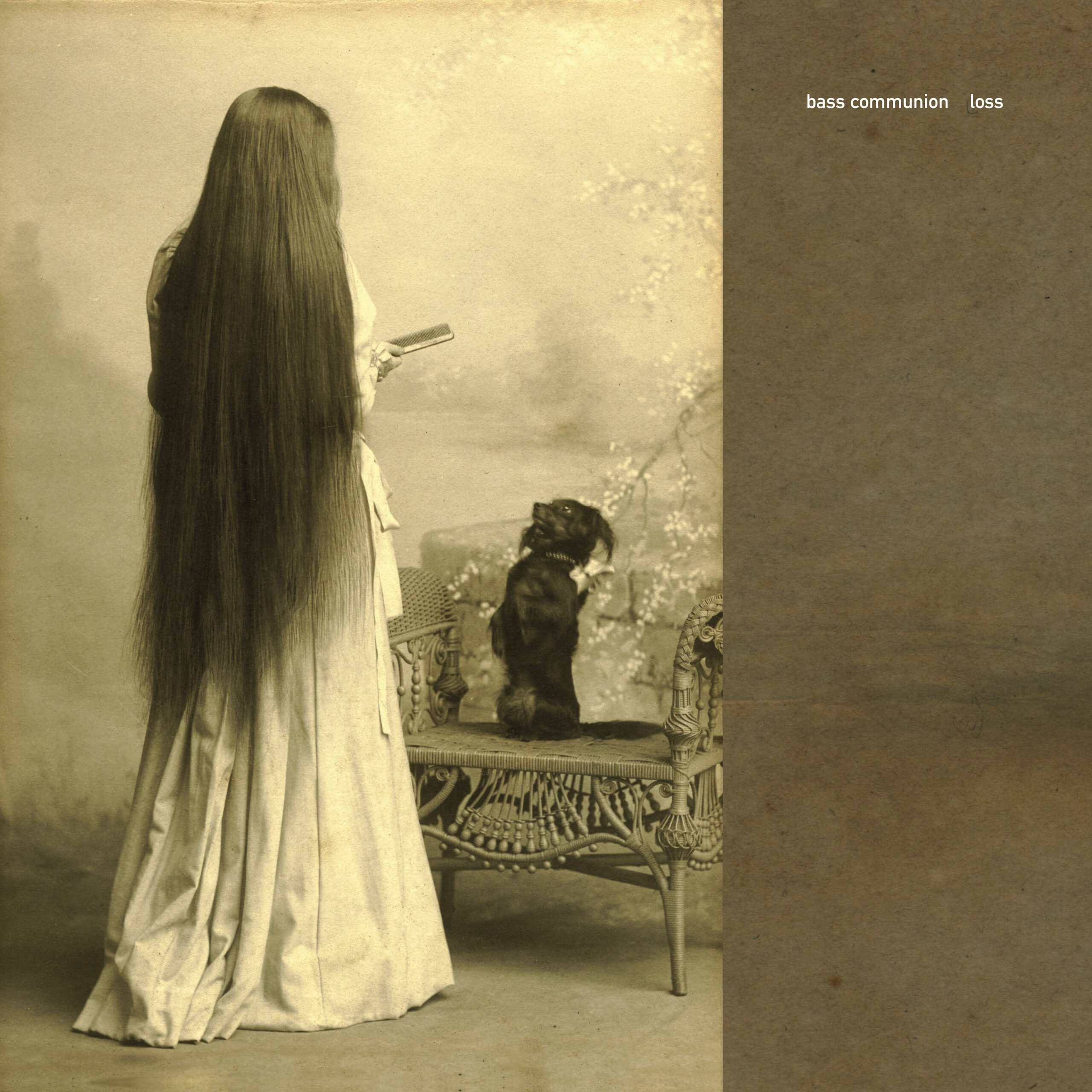 洋楽 Bass Communion 'remixed' ~ reMIXED Remixed by BC: 2003-2009 | Bass Communion