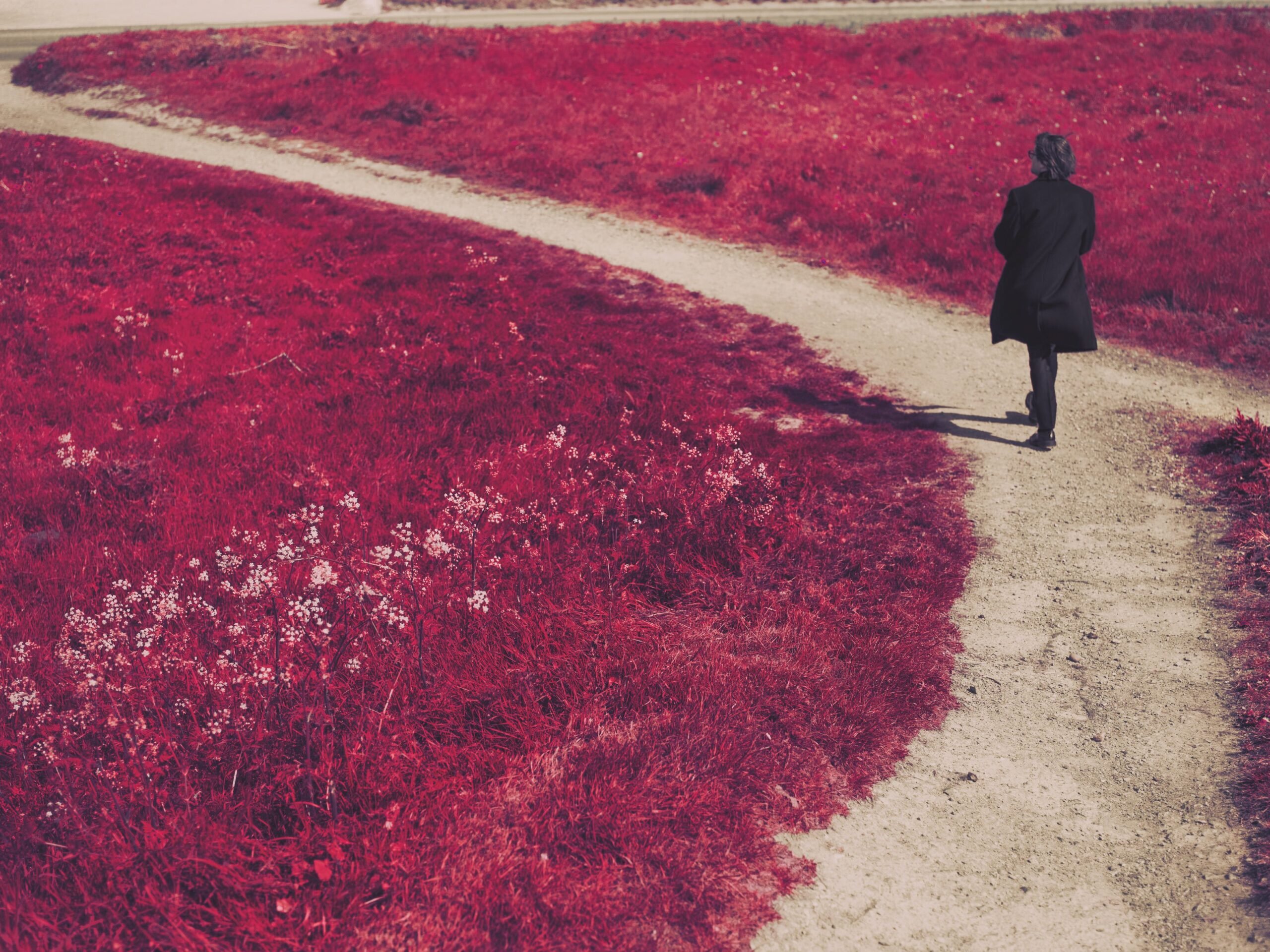 Steven Wilson - Steven Wilson