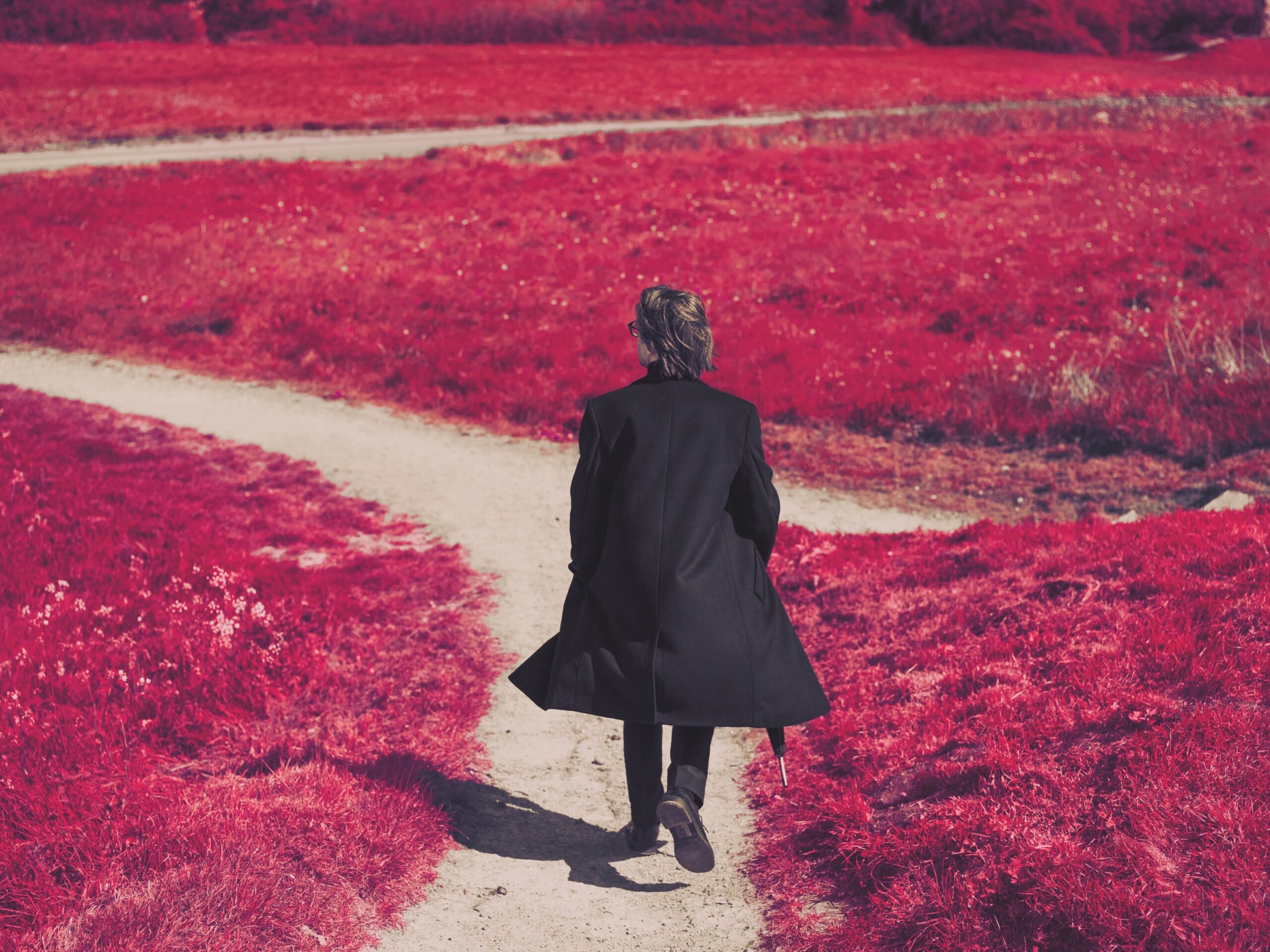 Announcing The Harmony Codex, my new studio album - Steven Wilson